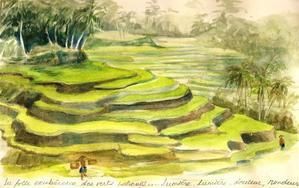 Stage carnet de voyage - Bali2 - Cecile Alma Fillette - Ate